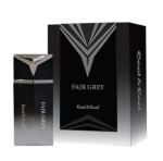 Cool & Cool FAJAR GREY 100ML - Eau De Parfum - for Him