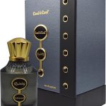 Cool & Cool Raining Perfume 100ML - Fougere Fragrance with Lavender, Lemon, Sage & Amber, Men'S Fresh & Long-Lasting Perfume