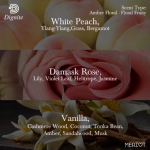 Dignite Meriot Perfume 100ML EDP For Her Sold by ESRA UAE - Image 3