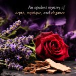 Frais Et Frais Mystic Violet Perfume 100ML - Eau de Parfum - Women's Amber Woody Fragrance with Vanilla, Jasmine & Sandalwood - Image 4