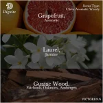 DIGNITE VICTORIOUS 60Ml - EDP - For Him - Image 3