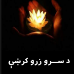 The golden lines ( د سرو زرو کرښې )