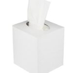 BOUTIQUE/SQUARE FACIAL TISSUE 100SHEETSX2PLY, PACK OF 36 BOX