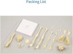 Teng Xin - Explore Science Bone Assembly