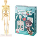 Teng Xin - Explore Science Bone Assembly