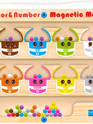 Magnetic Bead Counting Maze-1.jpg