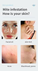 Premium Collagen Egg Soap-6.jpg