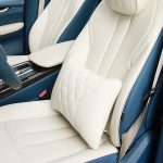 Quilted Car Neck Pillows