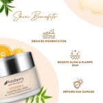 Astaberry - Indulge Vitamin - C Sleeping Gel Mask - Zambeel