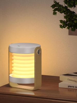 Compact Solar Charging Lamp - Zambeel