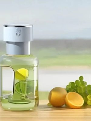 Cordless Juicer - Zambeel