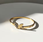 Crystal Wing Bangle - Zambeel