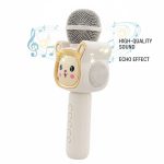 Cute Cartoon Wireless Karaoke Microphone - Zambeel