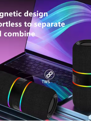 Detachable Wireless Speaker - Zambeel