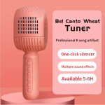 Disco - HiFi Speaker Wireless Microphone - Zambeel