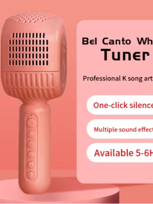 Disco - HiFi Speaker Wireless Microphone - Zambeel