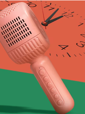 Disco - HiFi Speaker Wireless Microphone - Zambeel