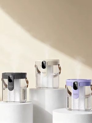 Dual - Spray Portable Humidifier - Zambeel