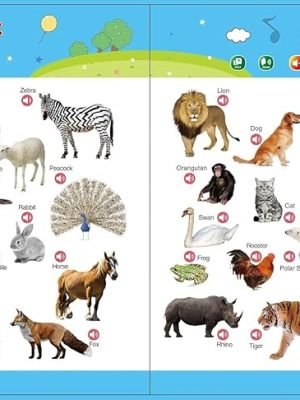 English Book for Children - Zambeel