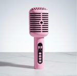 Hi - Fi Portable Karaoke Speaker with Mic - Zambeel
