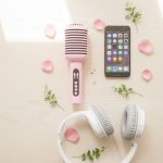 Hi - Fi Portable Karaoke Speaker with Mic - Zambeel