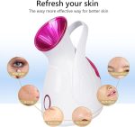 Nano Ionic Facial Steamer - Zambeel