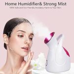Nano Ionic Facial Steamer - Zambeel