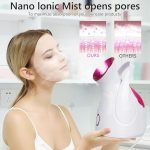 Nano Ionic Facial Steamer - Zambeel