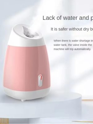 Professional Facial Steamer - Zambeel