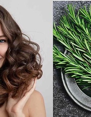 Rosemary Barij - Herbal Solution Oil (Original) - Zambeel