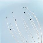 Scalp Head Massager - Zambeel