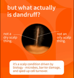 Sebamed - Anti - Dandruff Shampoo for Oily Hair - Zambeel