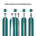 Stainless Steel Ear Pick Set with Keychain Case - Zambeel