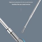 Stainless Steel Ear Pick Set with Keychain Case - Zambeel