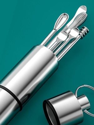 Stainless Steel Ear Pick Set with Keychain Case - Zambeel