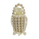 Women's Acrylic Dyed Handmade Beaded Handbag - Zambeel